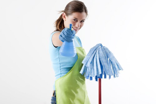 Professional window cleaner working on a home in Tjohnswood