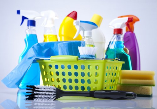 Professional cleaners working in a tidy Tjohnswood home