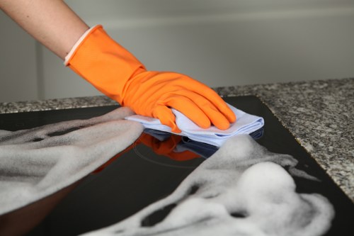 Professional rug cleaning service for homes in Tjohnswood