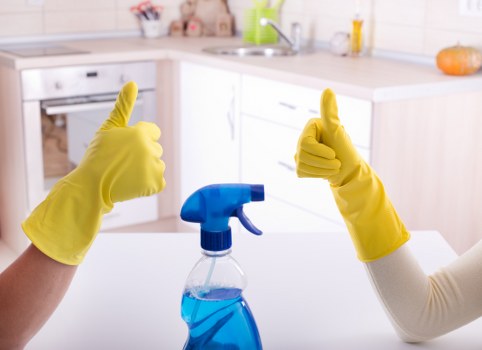 Professional regular cleaning for a home in Tjohnswood