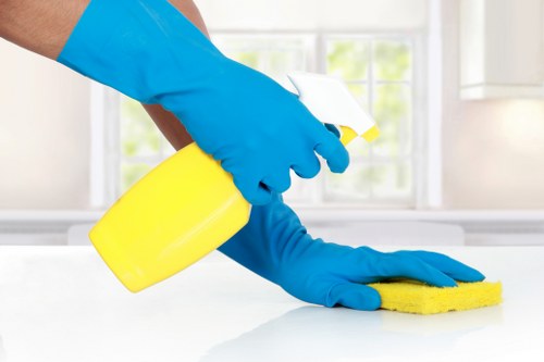 Review and resolution stage for cleaner complaints