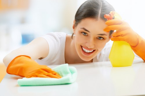 Window cleaning equipment and tools for residential service