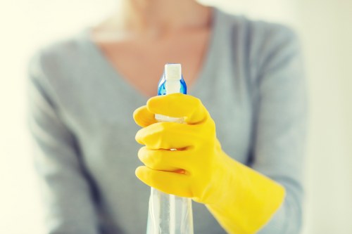 Professional move in cleaning service for a Tjohnswood home