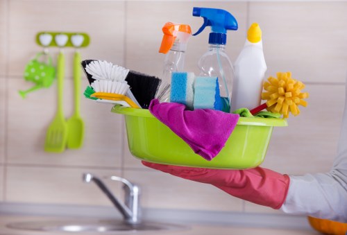 Professional cleaners in Tjohnswood following safety and insurance standards