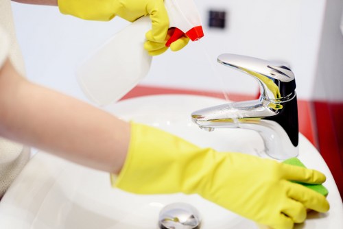 Professional deep cleaning for a Tjohnswood flat or apartment