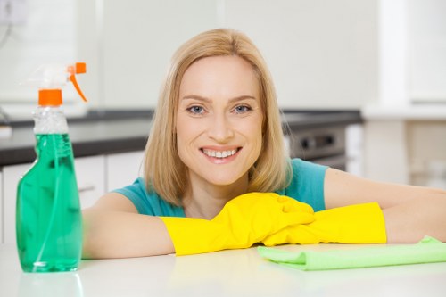 Safety check during cleaning work in progress