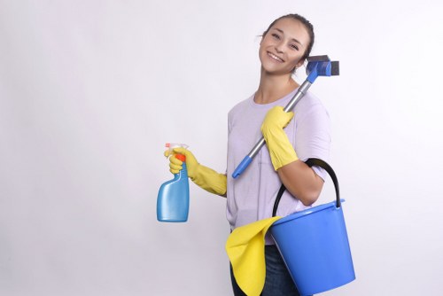 Gutter cleaning for a home in Tjohnswood with access and parking considerations