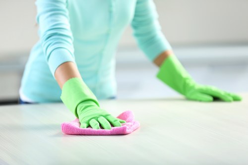 Tailored cleaning services for businesses in Tjohnswood