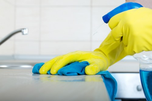 Professional cleaner working in a Tjohnswood family home