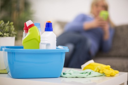 Kitchen and bathroom cleaning support for homes in Tjohnswood