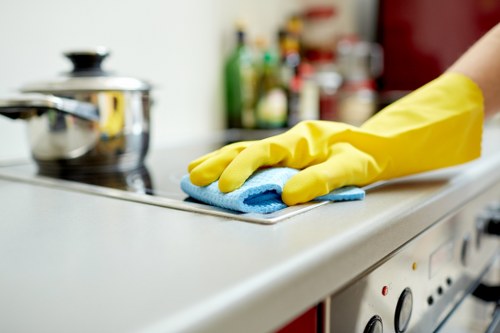 Deep cleaning process for carpets in Tjohnswood properties