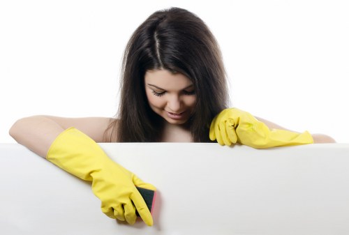 Preparation checklist scene for pet stain treatment in a Tjohnswood home