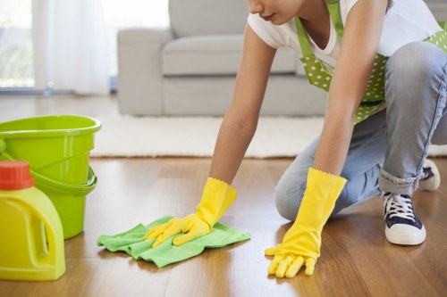 Careful stain and odour treatment for rugs in Tjohnswood