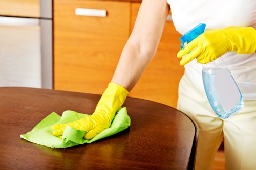 Cleaning team working in a property interior